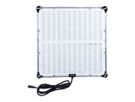 Amaran F22x (UK Version)