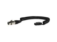 CoreSWX Coiled Power-Tap Cable to 4-Pin XLR Female P-Tap Unregulated 18" Extends to 48"